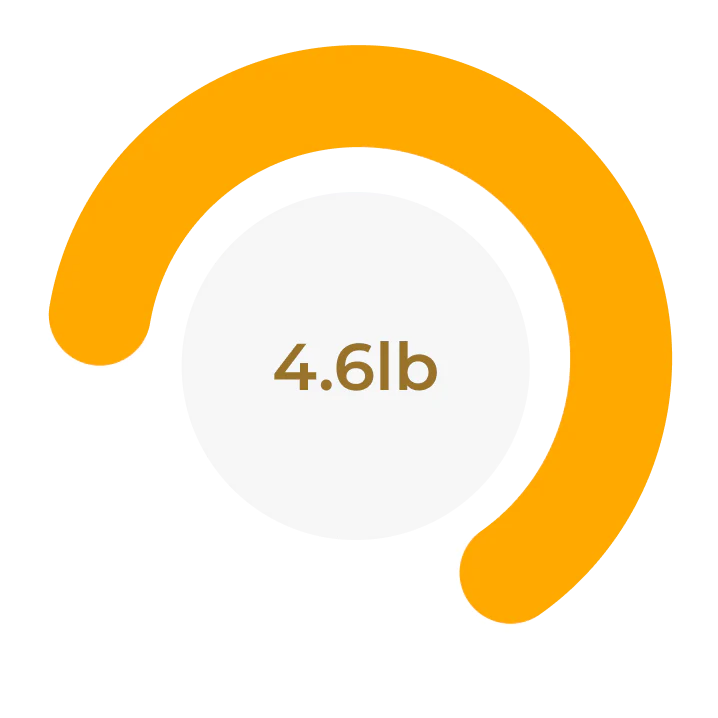 4.6lb yellow points of circle